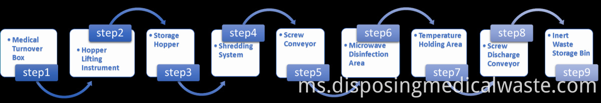 Microwave disinfection process